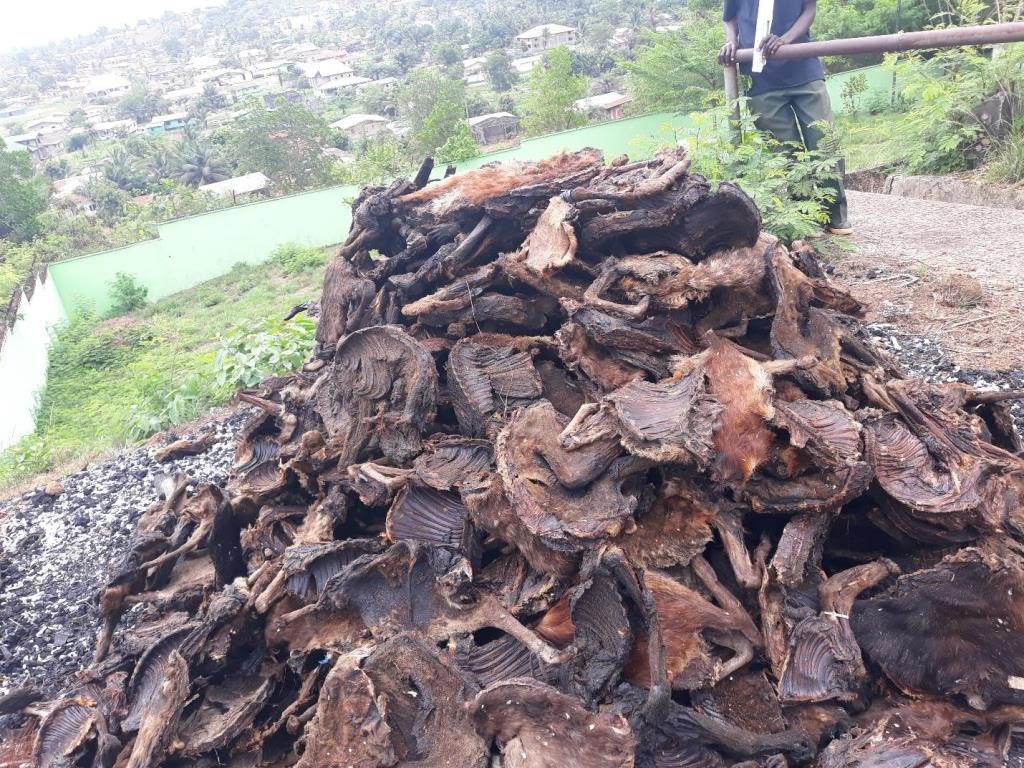 WhatsApp Image 2023-01-09 at 20.08.51 (1)