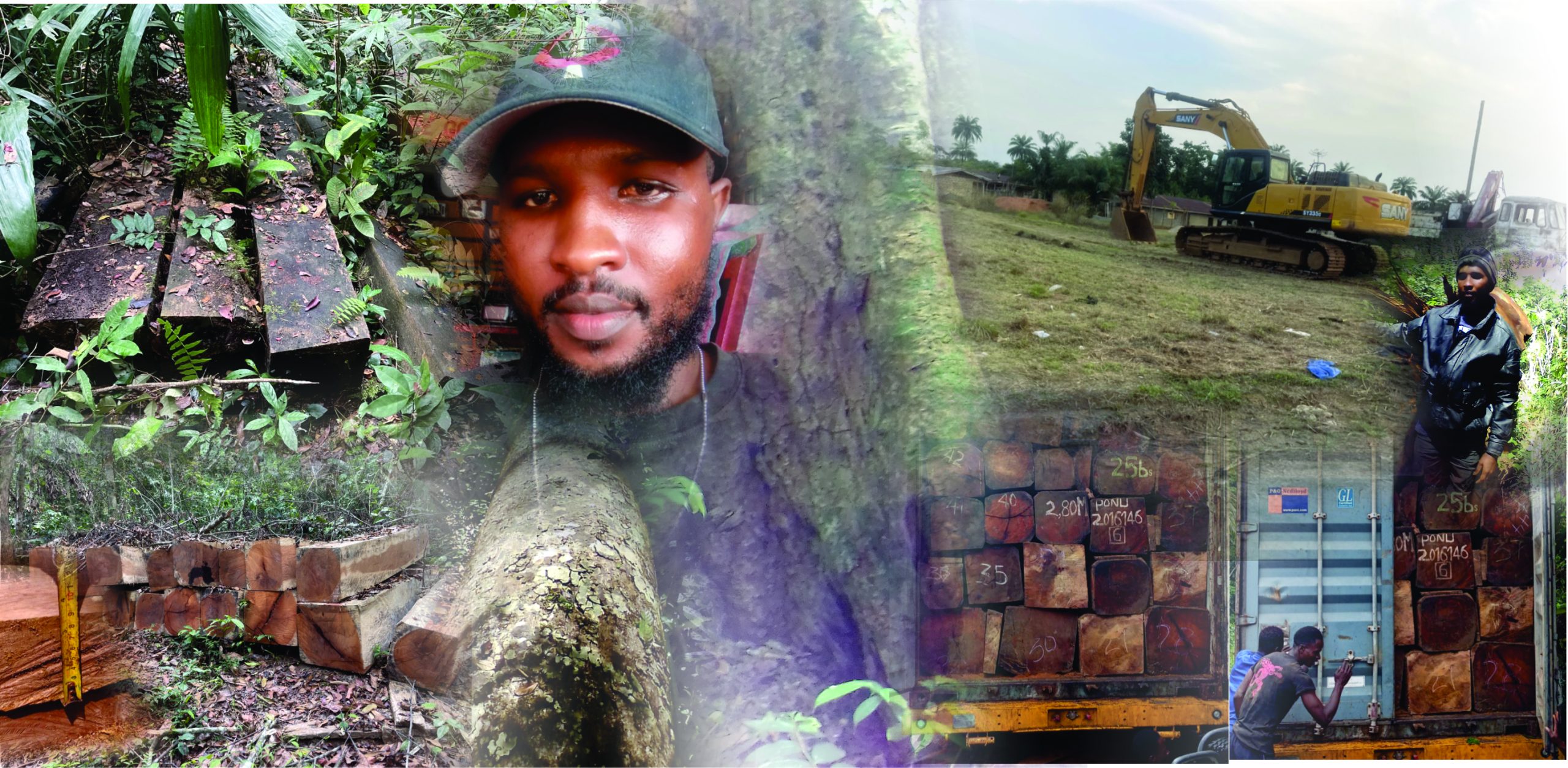 DayLight Story Cover