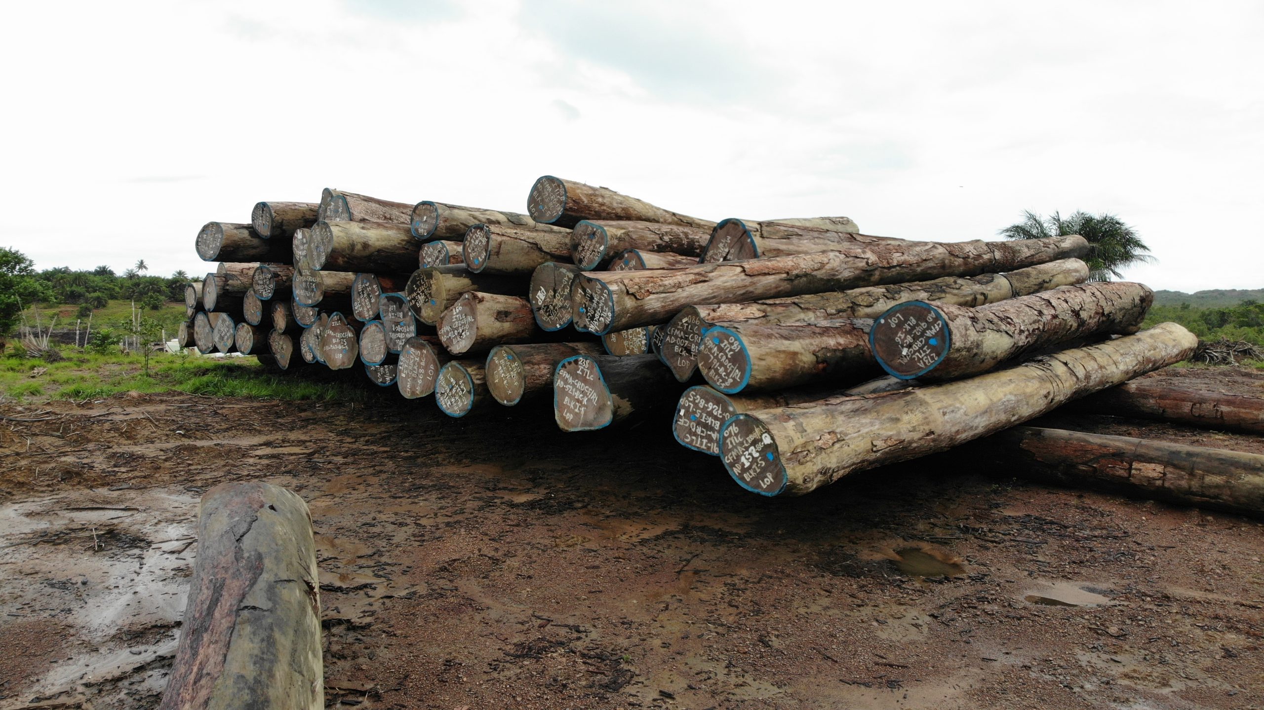 created by dji camera