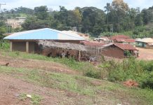 Grand Gedeh Cancels Cocoa Agreement