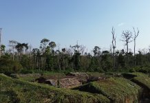 Deaths and Divisions Follow Cocoa Farming Paths