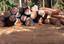 FDA Seizes Illegal Logs Investigations Exposed