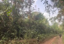 Ex-lawmaker Abandons Land after Illegal Purchase Exposed