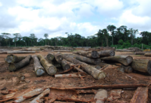 Extractive Sector Sidelined in Annual Address Logs