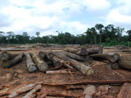 Extractive Sector Sidelined in Annual Address Logs