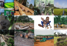 Editor’s Pick: Our Best Stories in 2022