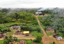 Climate Change and the Race to Net Zero – An African Perspective