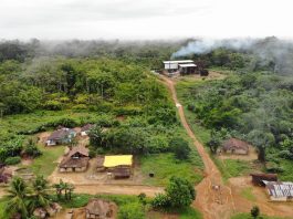 Climate Change and the Race to Net Zero – An African Perspective DJI 0176 scaled