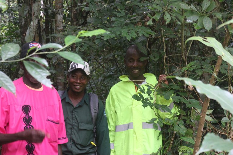 Nimba Clan Seeks Support to Protect Community Forest