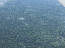 Rebuttal To The ‘Proposal For The De-Gazettement Of The Sapo National Park’ IMG 8725 scaled