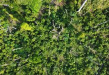 Grand Gedeh Superintendent Allegedly Received over US$7K for Dirty Deed