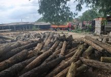 FDA Seizes and ‘Sells’ Logs without Court Warrant