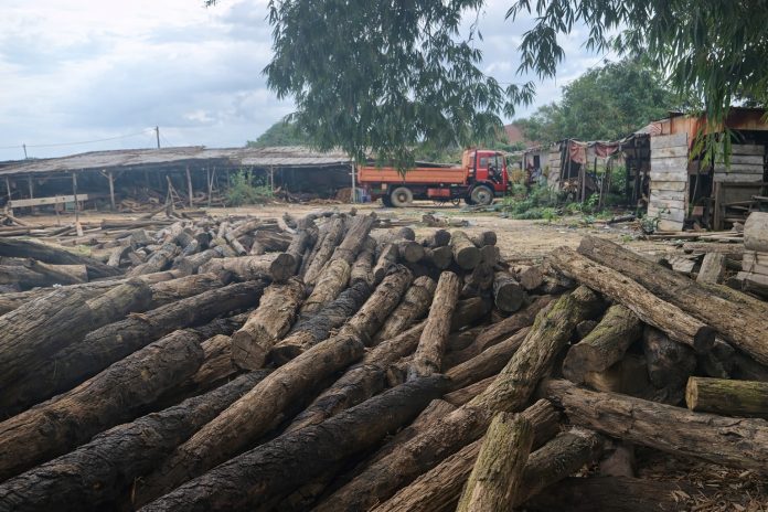 WhatsApp Image 2026-03-03 at 16.23.58