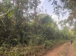 Ex-lawmaker Abandons Land after Illegal Purchase Exposed WhatsApp Image 2026 03 04 at 15.42.46