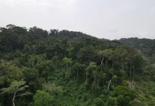 New, Community-led Conservation Delivering Promises