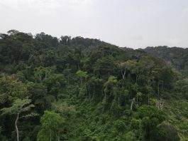 compressed DJI 0074
