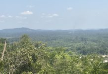 FDA Explores Ecotourism Potential in Gola Park