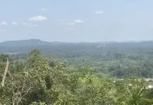FDA Explores Ecotourism Potential in Gola Park