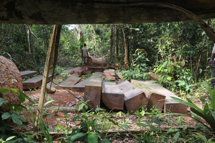 Kpokolo in Gbaryama, Gbarpolu County