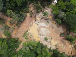 Evading Taxes, Miners Leave Behind Death Traps and Polluted River Kpeteyea mines2026 04 21 175354