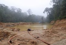 Court Fines 28 for Illegal Mining in Sapo Park