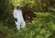 Ex-Farmers and Hunters Farm Animals to Protect Forest The beekeeper of Salayea