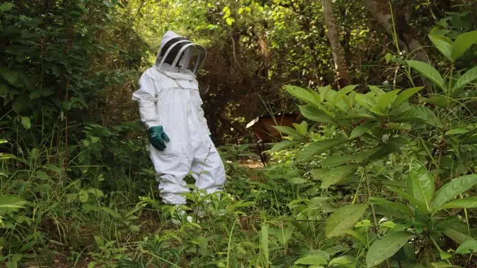 The beekeeper of Salayea