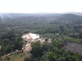 DJI 0324