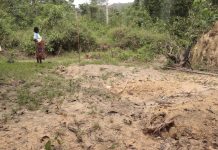 Gold Mines Turn Unknown Miners’ Graveyards Mining victims' graves