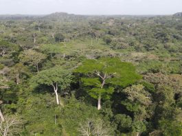 Farmers lied in letter to President Boakai