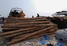 Chinese Firm Exports US$13K Timber Amid Moratorium Men upload a consignment of a non-timber forest product in Sinoe, 2024.