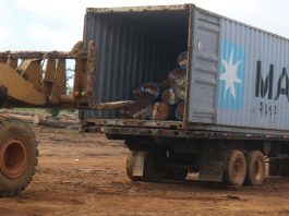 Scrap Company Turns to Illegal Timber Trafficking An earthmover uploads timber