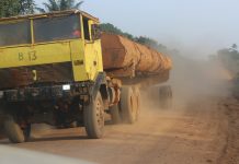 Shadow Firm Smuggled over US$400K of Timber to Ivory Coast Shadow Firm Smuggles over US$400K of Timber to Ivory Coast
