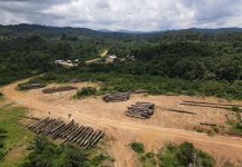 Locals Sign New Logging Contracts After Old One Failed Locals Sign New Contract after Old One Failed