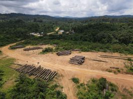 Locals Sign New Logging Contracts After Old One Failed Locals Sign New Contract after Old One Failed
