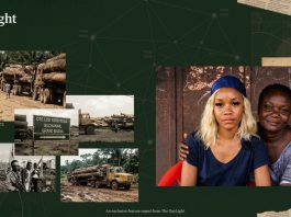 The Forgotten Children of Wartime Loggers