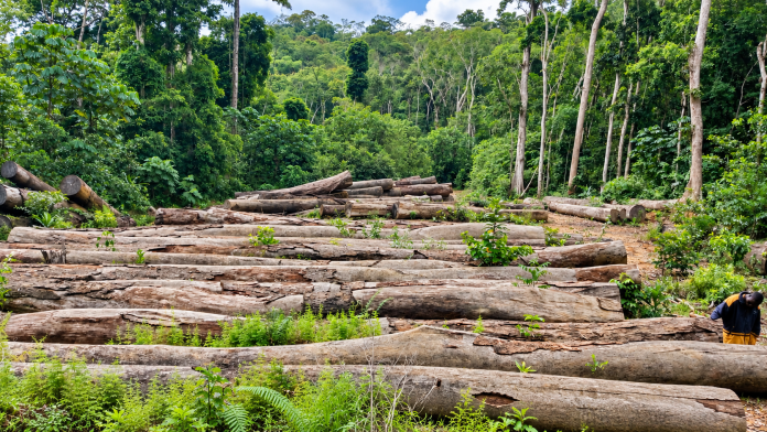 Loggers